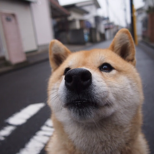 新闻中心举办客户答谢会,客户答谢活动新闻稿